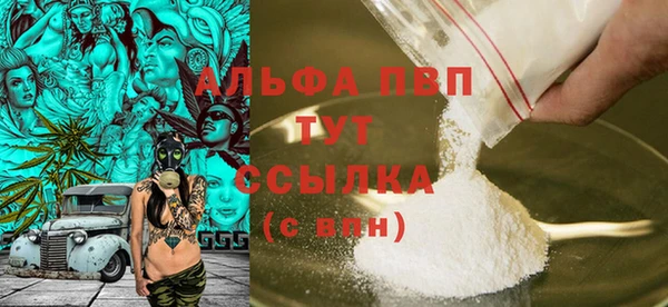 стаф Алексин