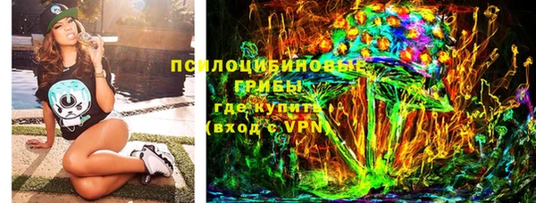 ГАЛЛЮЦИНОГЕННЫЕ ГРИБЫ Алексеевка
